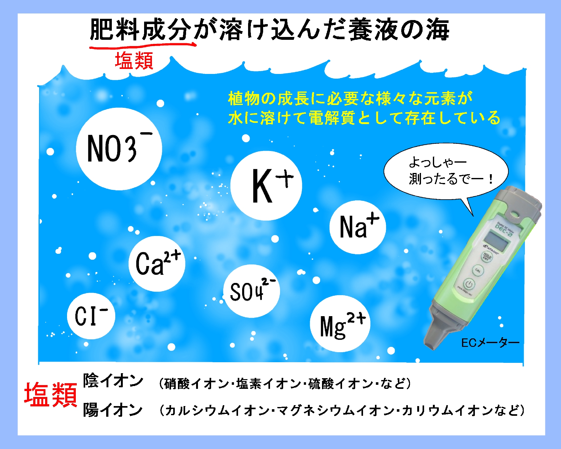 肥料濃度はec 電気伝導度 検査で Phと関連 ぼんちすとのアクアポニックス